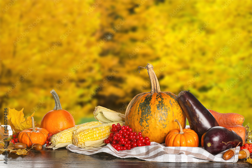 Different healthy food on table outdoors. Harvest festival