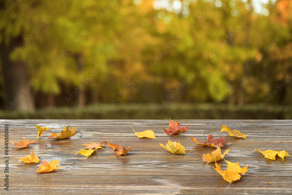 Beautiful autumn leaves on wooden table outdoors