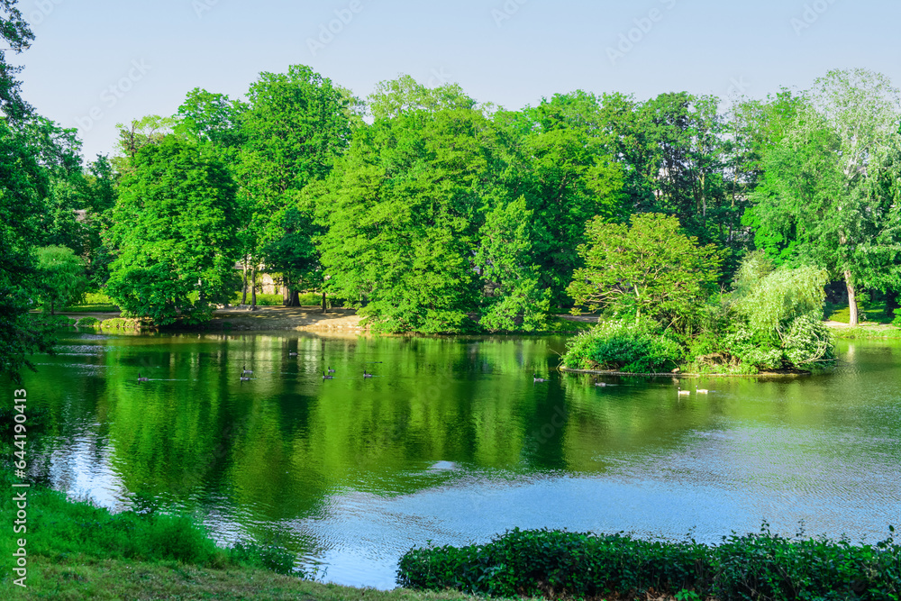 View of beautiful lake with ducks and green trees