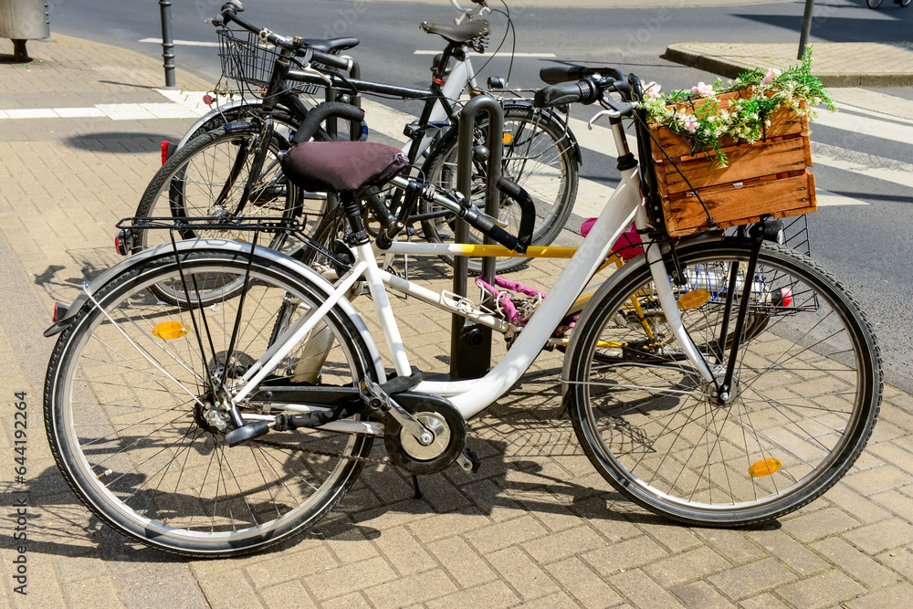 Modern bicycles parked on city street