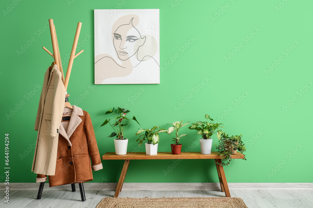 Houseplants on wooden bench and rack with clothes near green wall in room