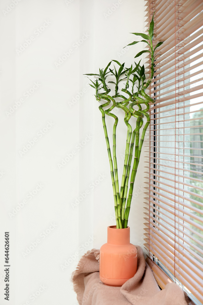 Vase with bamboo stems on windowsill