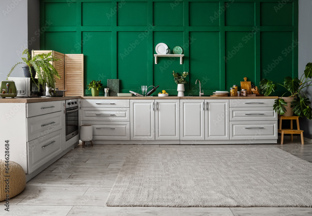 Interior of modern kitchen with white counters, houseplants and utensils