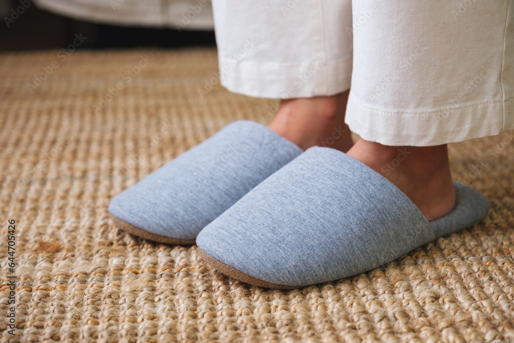 Closeup of a woman wearing slippers at home