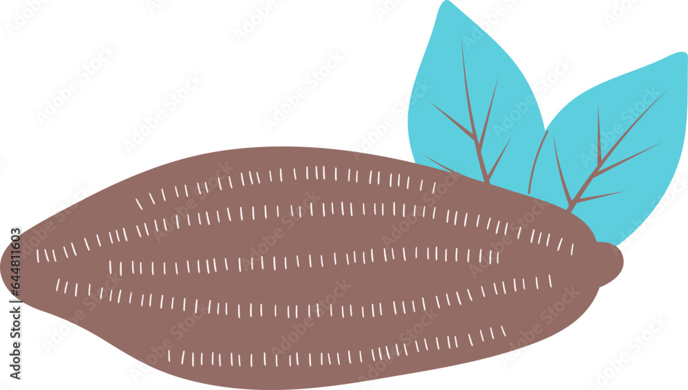 Cocoa bean hand draw illustration