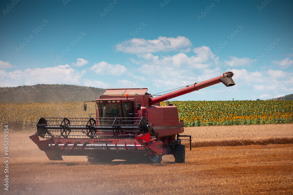 Combine harvester machine working in a summer wheat field before autumn