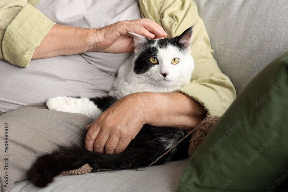 Senior woman with cute cat resting at home