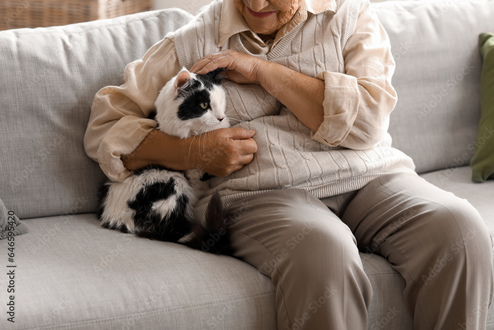 Senior woman with cute cat resting at home