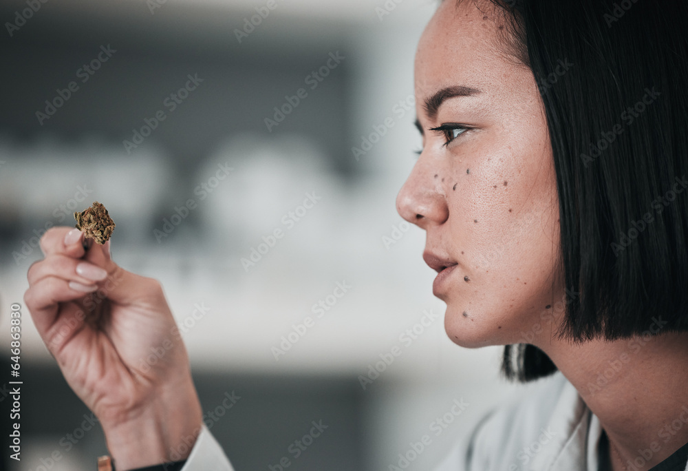 Science, sample and Asian woman in laboratory for analysis, medical research and study. Biology, pha