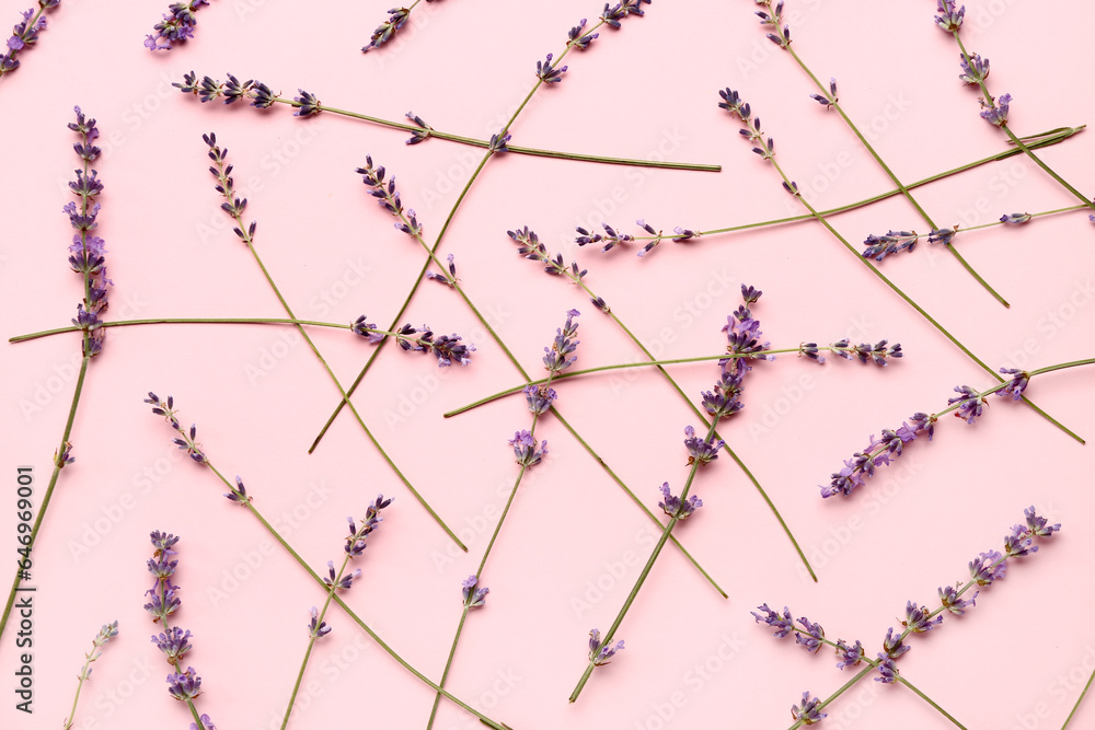 Branches of beautiful lavender flowers on pink background