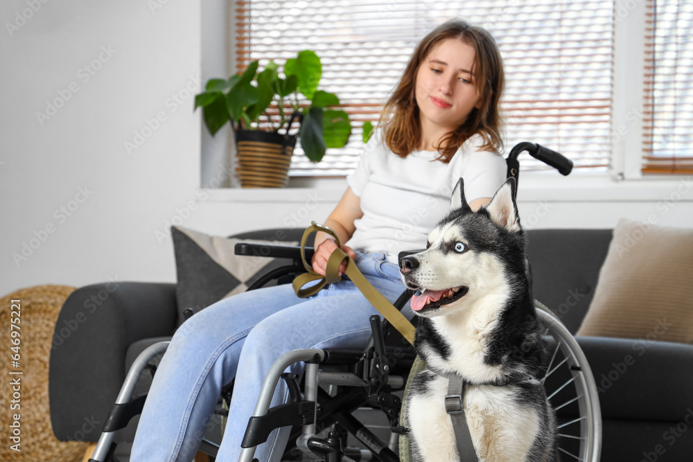 Young woman in wheelchair and with husky dog at home