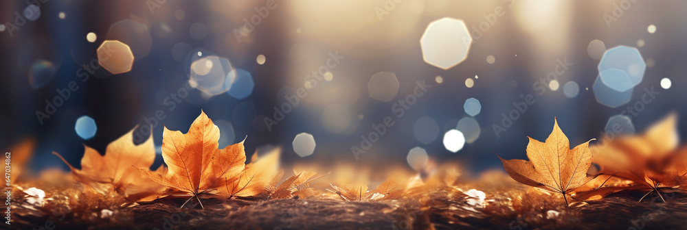 Autumn forest shining in the late afternoon sunset