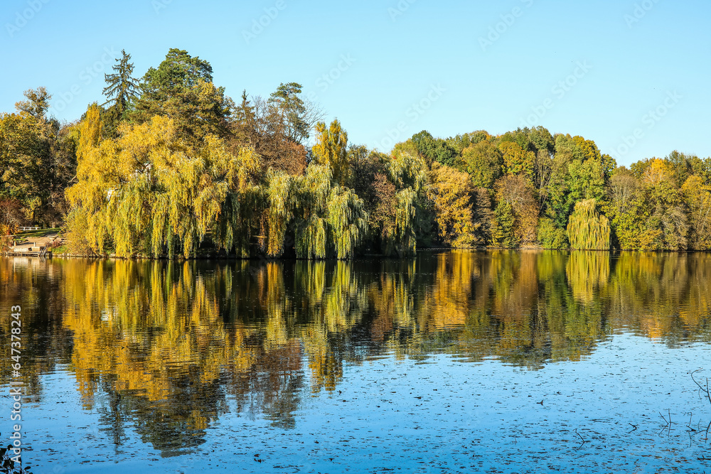 View of beautiful lake and yellow trees on autumn day