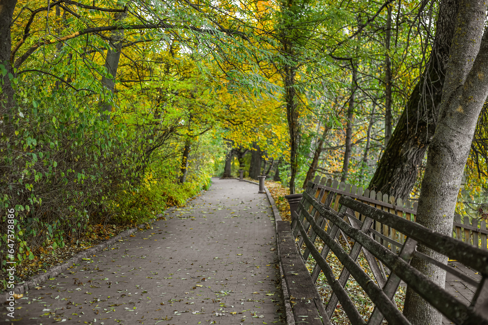 View of beautiful autumn park with trees and alley