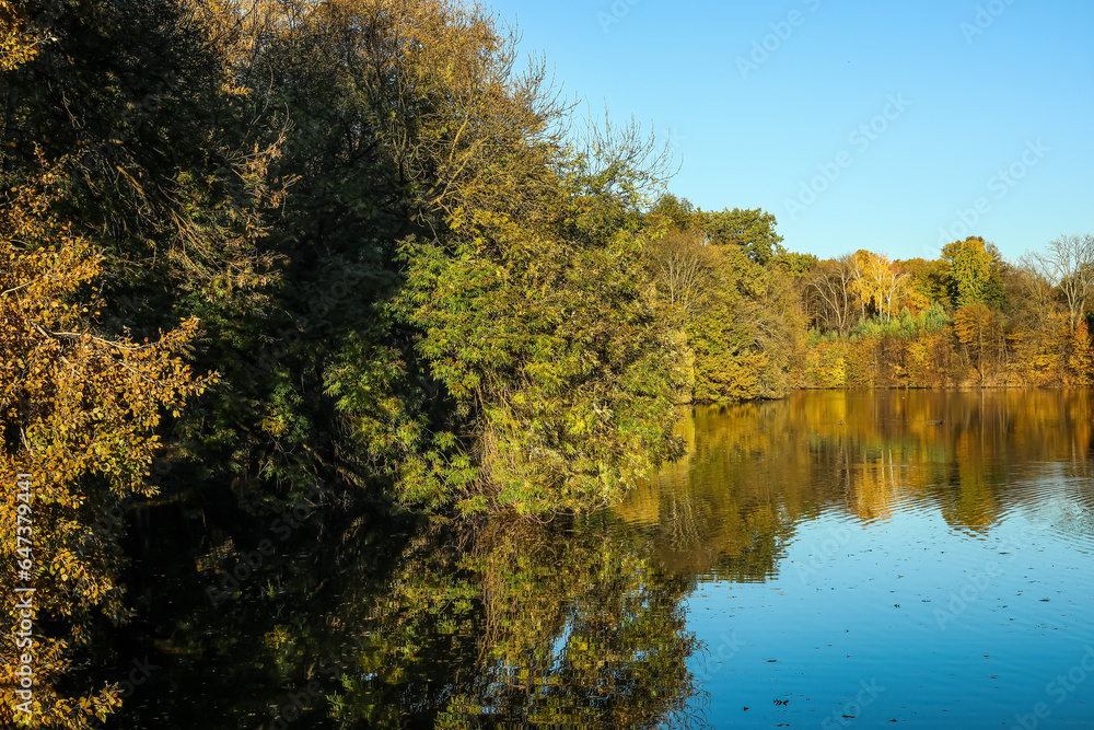 View of beautiful lake and yellow trees on autumn day