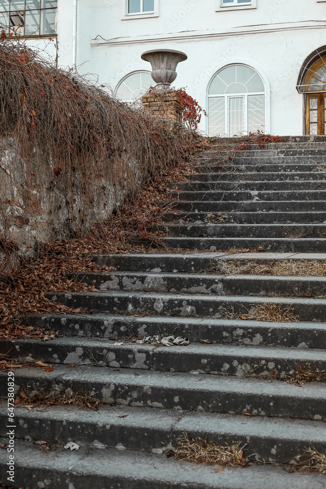 View of stairs with fallen leaves on autumn day