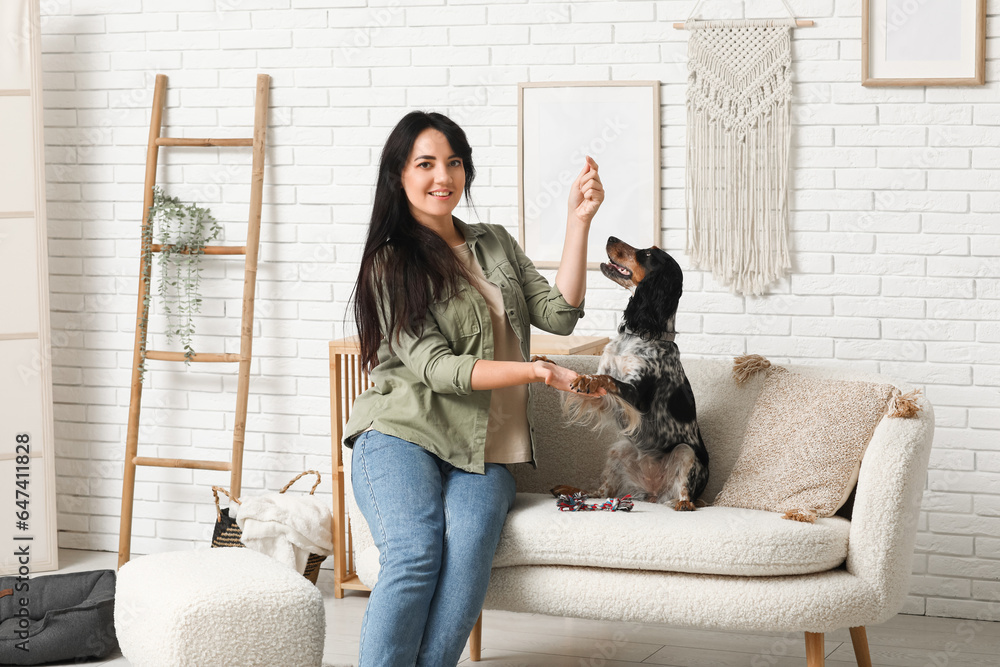 Female dog handler training pet at home