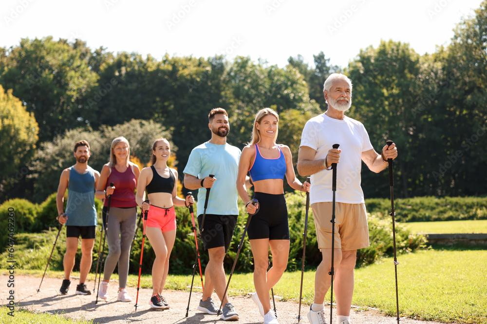 Group of people practicing Nordic walking with poles in park on sunny day