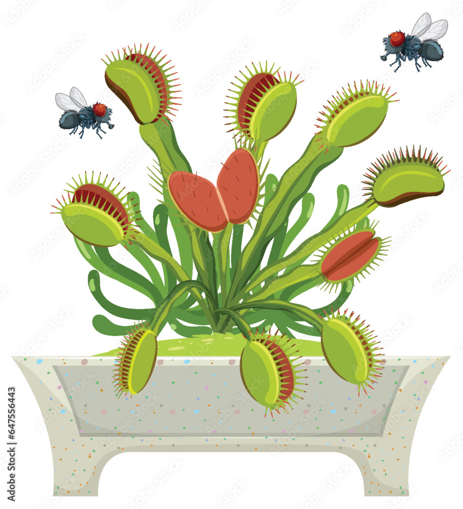 Flies Flying Over Venus Flytrap Plant: A Vector Cartoon Illustration