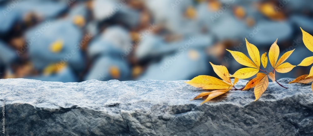 Autumn leaves on top of close up gray stone background in clear sunny weather