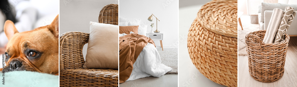 Collage of stylish rattan armchair, baskets, modern bedroom and cute French bulldog