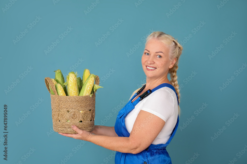 Mature female farmer with wicker basket full of ripe corn cobs on blue background