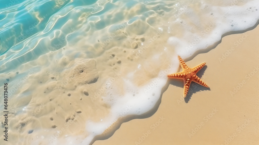 Starfish on the sand beach in clear sea water , summer background with copy space for relaxing on the beach