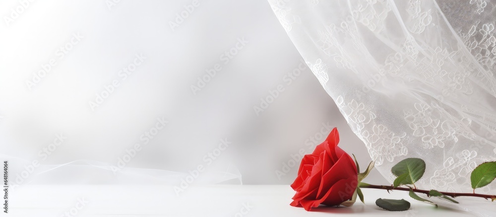 Red rose blooming against white lace curtain