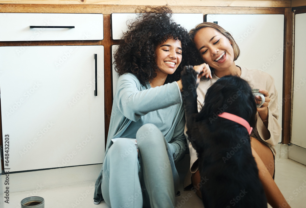 Happy, couple or friends with dog in kitchen, home or relax with coffee, drink and eating breakfast on the floor of apartment. Women, playing and pet or animal in house with love and care for puppy