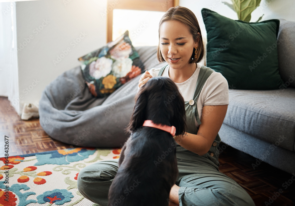 Love, care and woman with dog in home lounge to relax and play with animal. Pet owner, happiness and asian person on floor with affection, companion and wellness or friendship in cozy apartment