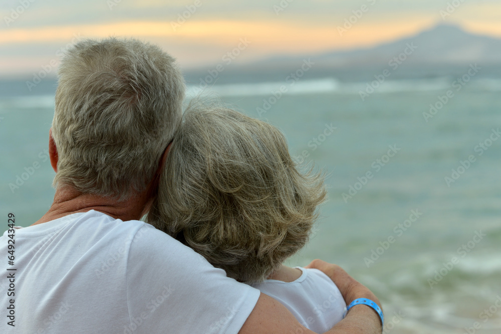 silhouette rear view of asian elderly couple standing on the beach and chatting happily in sunrise