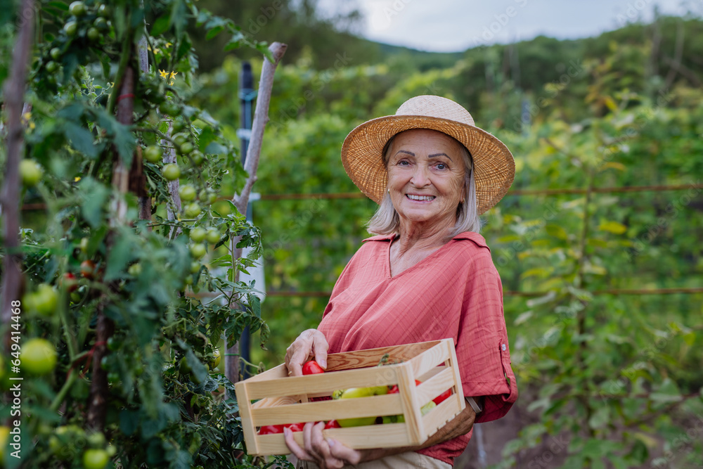 Beautiful senior woman holding a wooden crate filled with the harvested crop.