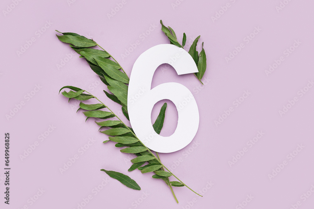 Green acacia leaves with paper number six on lilac background