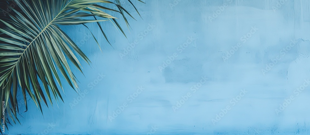 Blue patterned cement wall background used for presenting organic cosmetic products for sale online with a minimal concept of a summer tropical beach