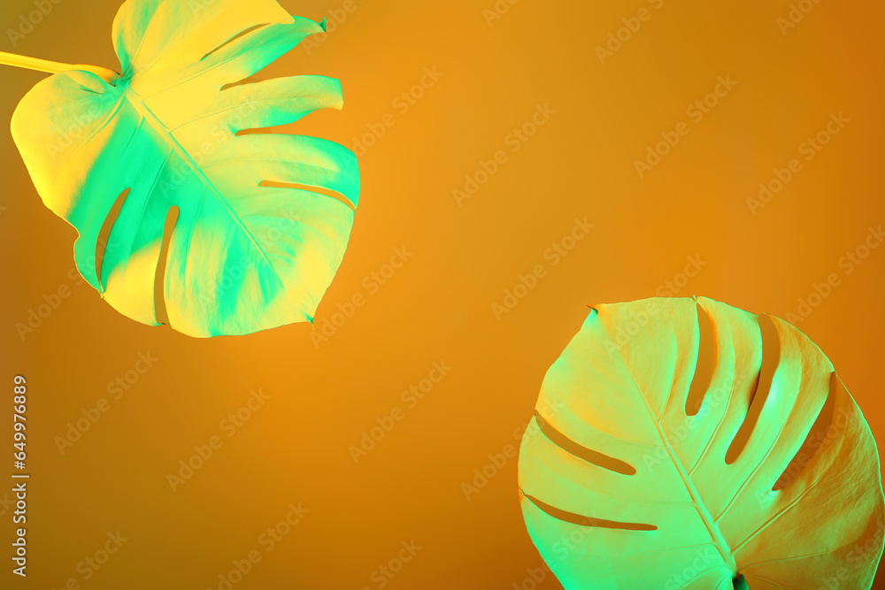 Neon tropical monstera leaves on yellow background