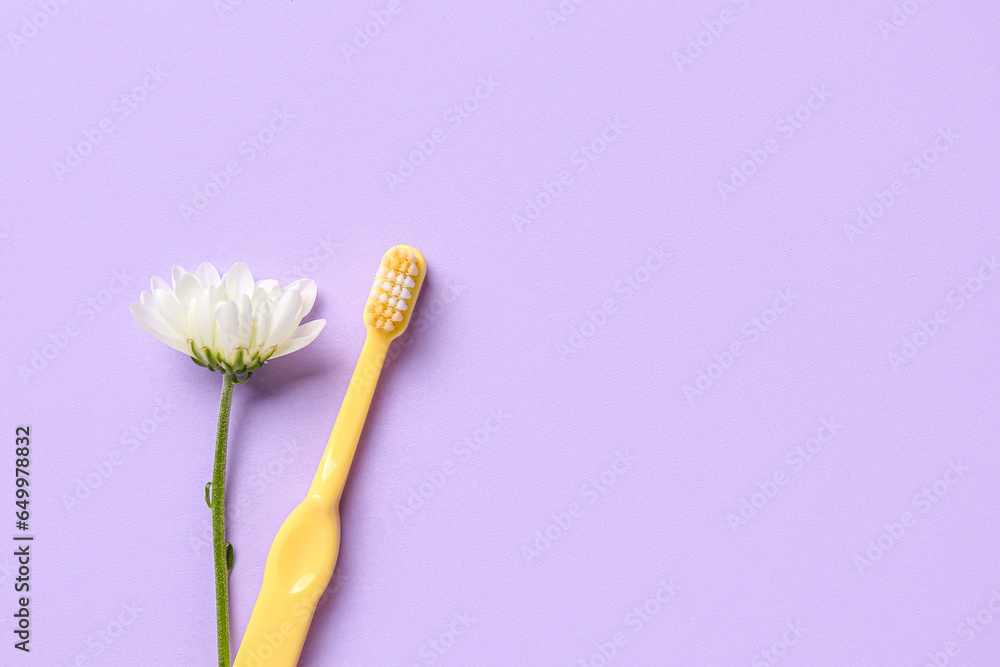 Toothbrush and beautiful chamomile flower on color background