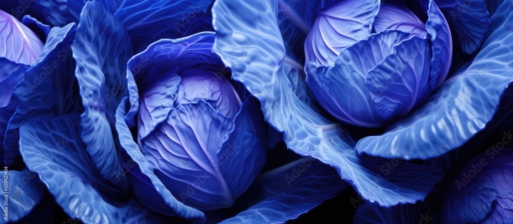 Close up top view macro photography of raw purple cabbage with a textured background