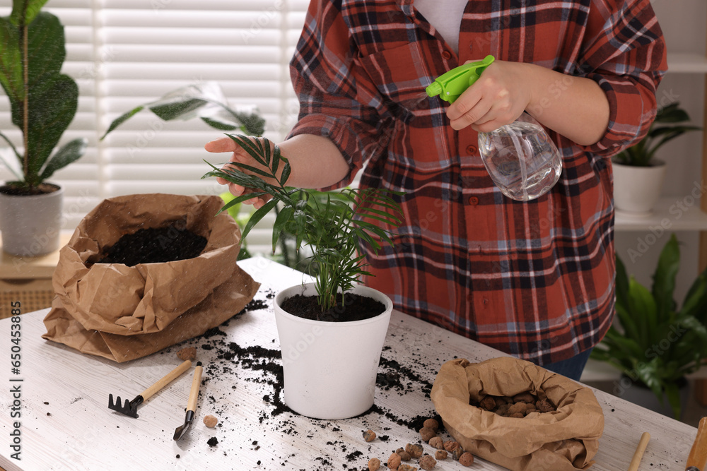 Woman spraying houseplant with water after transplanting at white table indoors, closeup