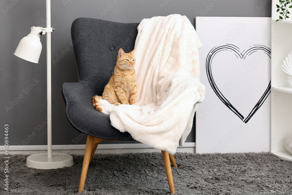 Cute ginger cat sitting on armchair at home