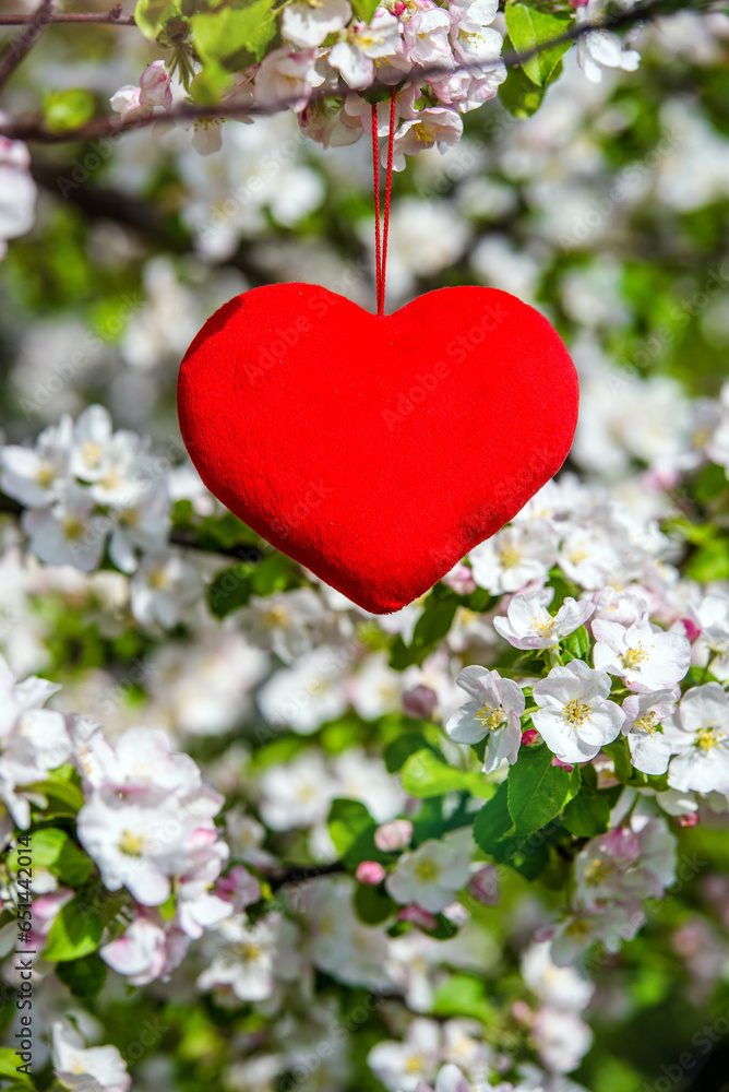 A symbol of love among the branches of a flowering apple 