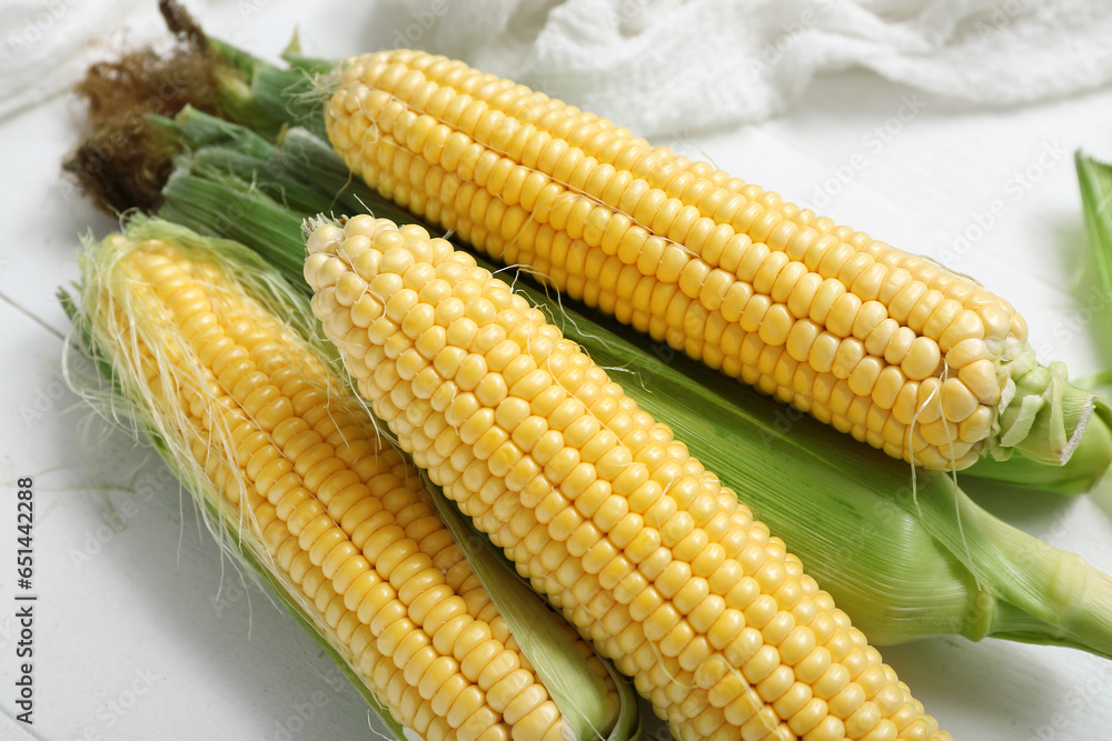 Fresh corn cobs on white table