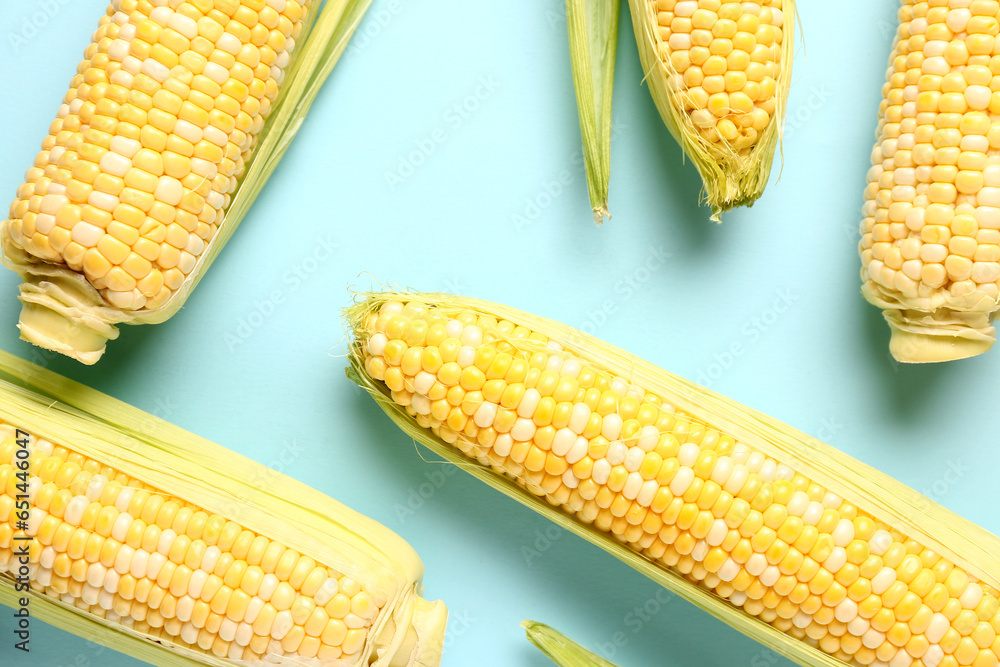 Fresh corn cobs on blue background