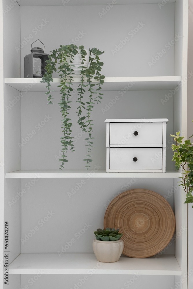 Shelf unit with houseplants and decor in room