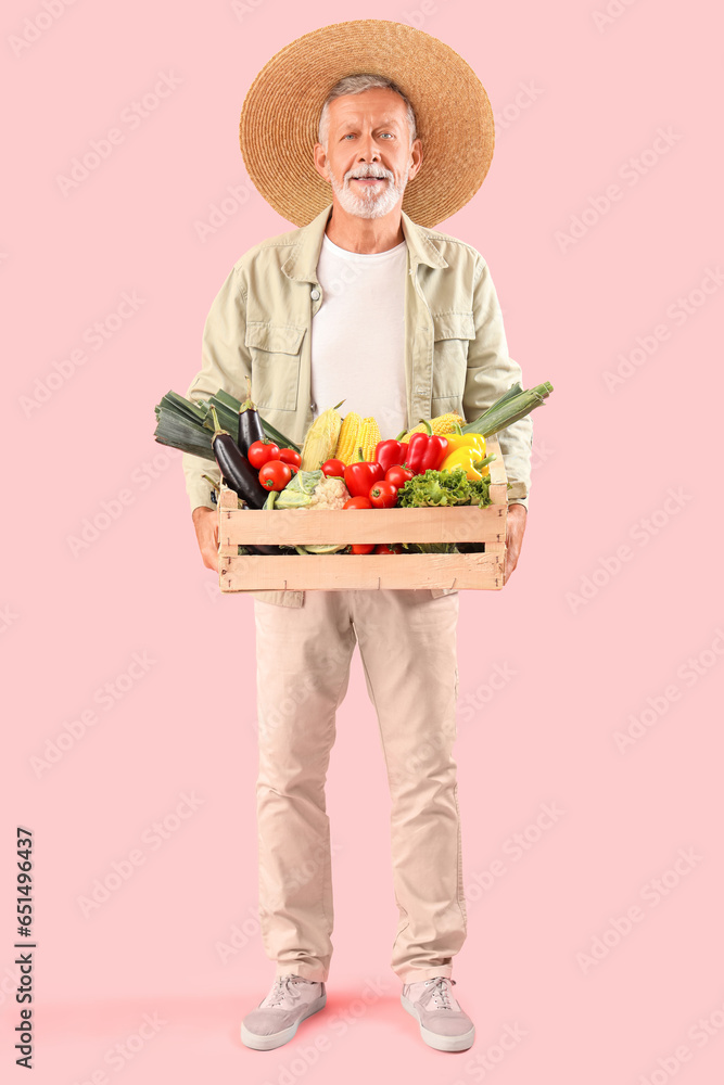 Happy mature male farmer with wooden box full of different ripe vegetables on pink background