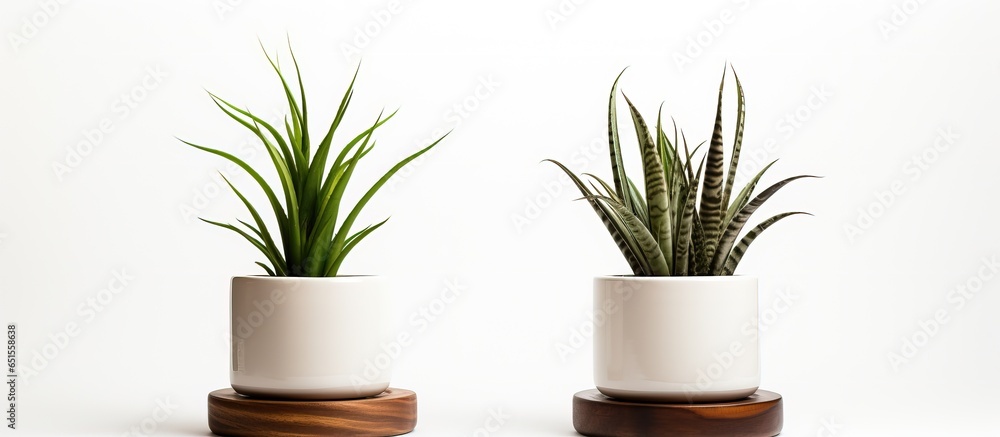 Plant stand and ceramic pot isolated on white background