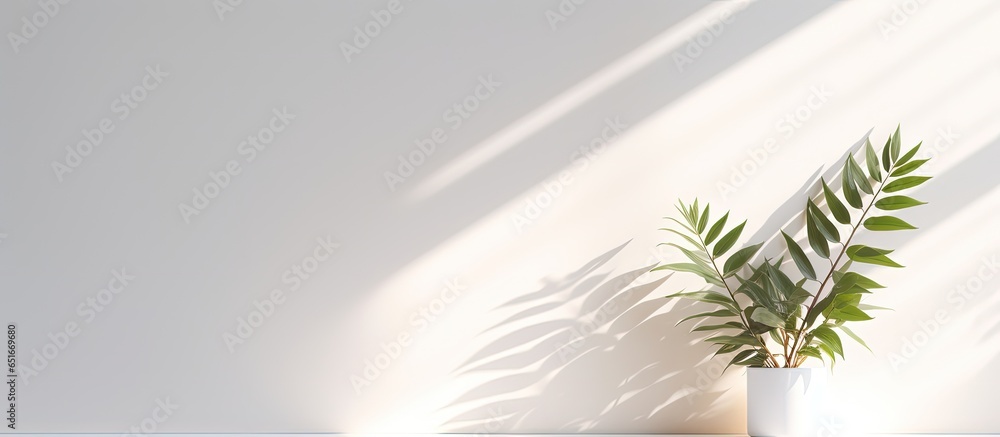 Simple bright background with blurry foliage shadow on white wall Perfect for presentation with sleek floor