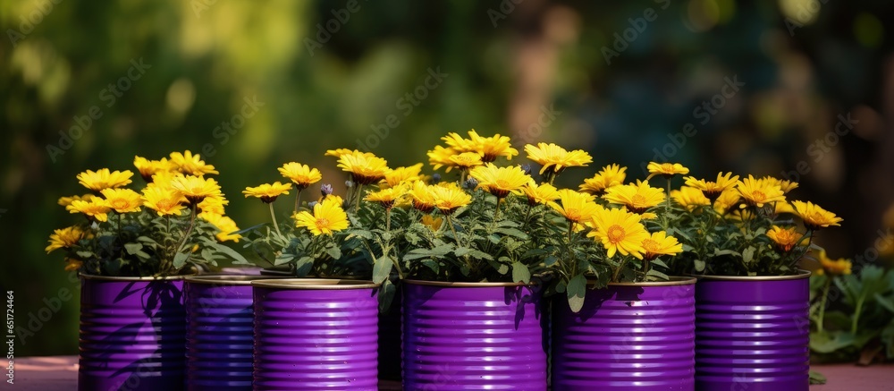 Flower filled purple tin can pots in the garden