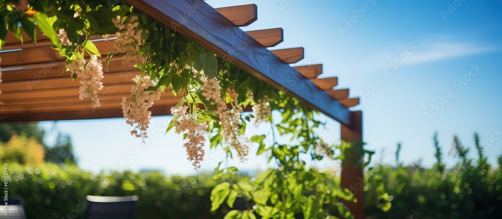 Sunny picture featuring pergola shade