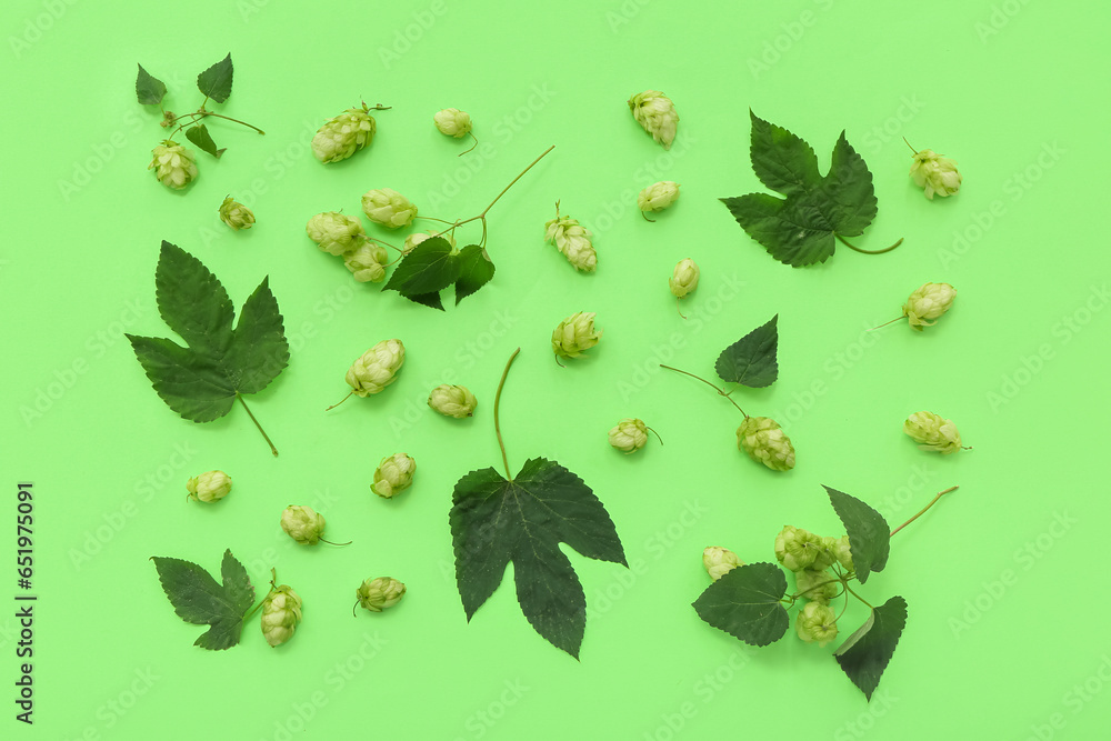 Fresh green hops and leaves on color background