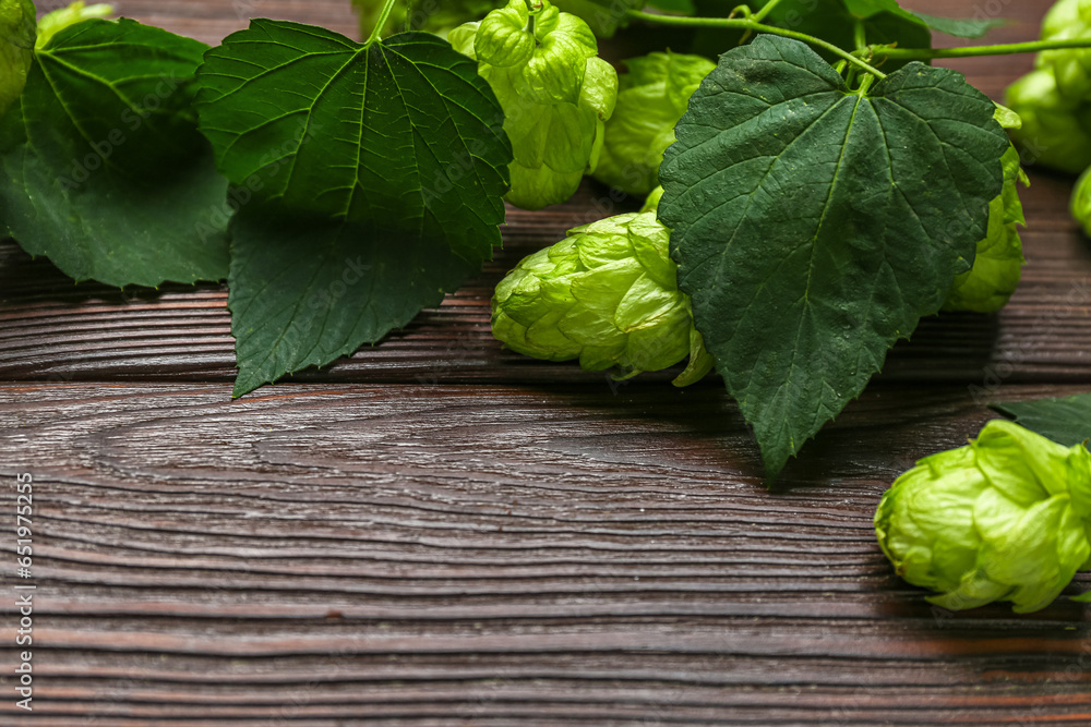 Fresh green hops with leaves on wooden background